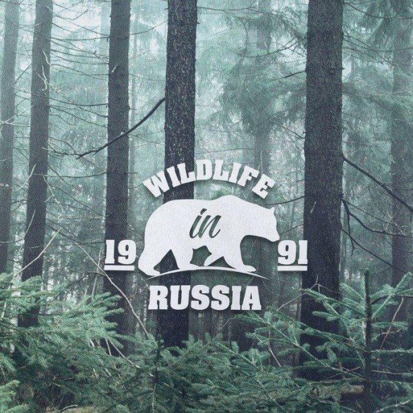 Постельное бельё «Этель» 1.5 сп Wildlife 143*215 см, 150*214 см, 70*70 см - 2 шт